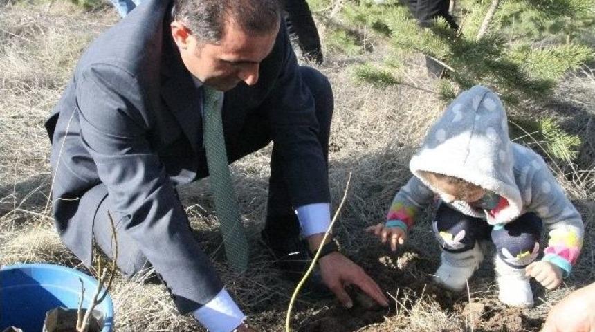 Yaban Hayatına Yabani Meyve Desteği