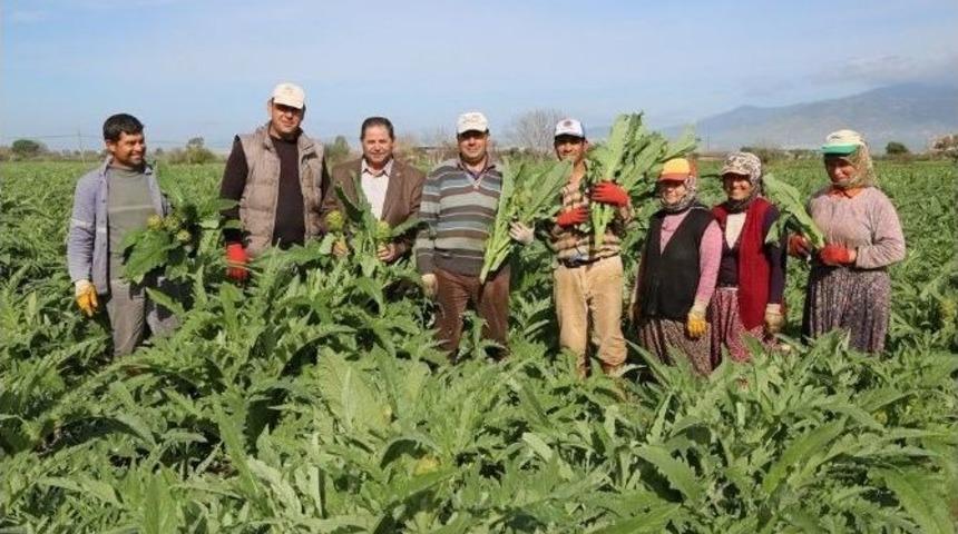 Enginar &Ccedil;ift&ccedil;inin Y&uuml;z&uuml;n&uuml; G&uuml;ld&uuml;rd&uuml;