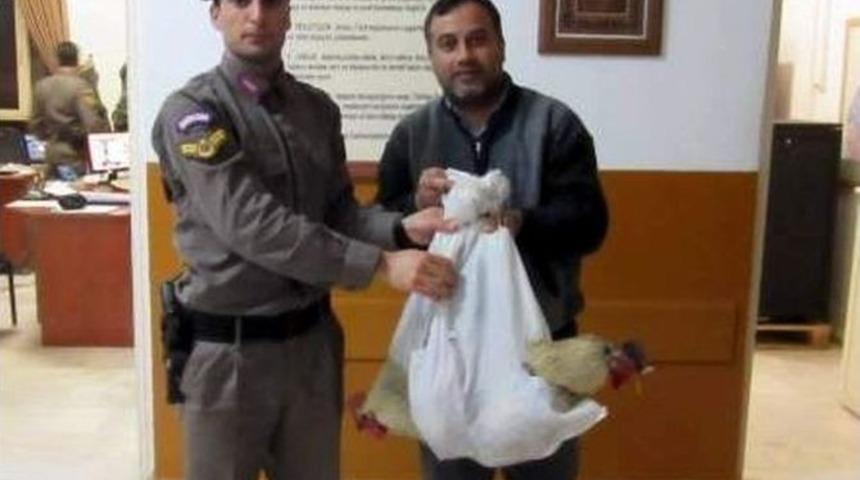 Hırsızın &Ccedil;aldığı Tavukları Jandarma Geri Getirdi