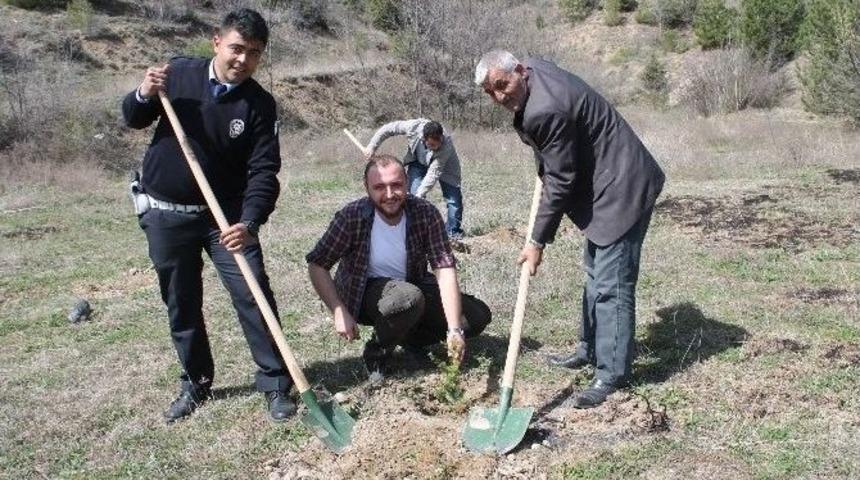 Tosya&rsquo;da Polis Haftası 171 Fidan Dikimi İle Başladı