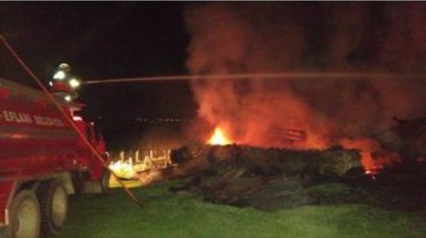 Hayvanlarını Kurtarmak İsterken Yanarak Can Verdi