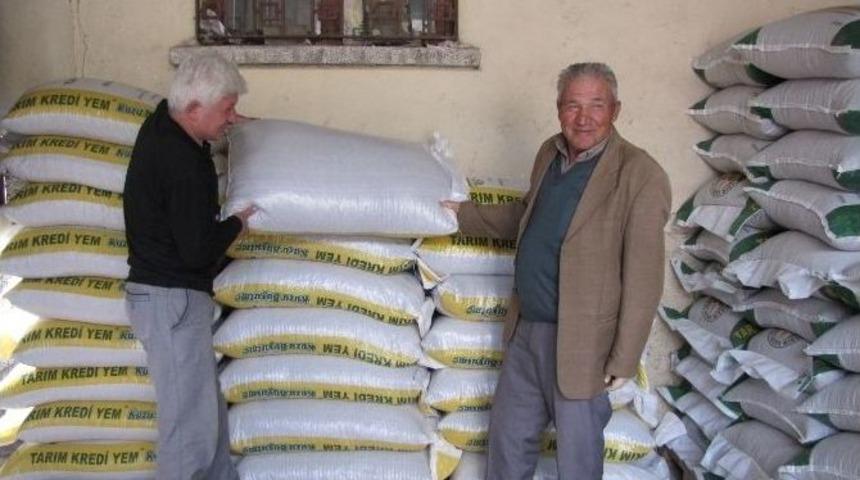 Yem Fiyatlarında Bahar İndirimi