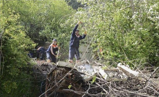 Döndü Teyze’ye Maltepe Belediyesi’nden Temizlik Desteği