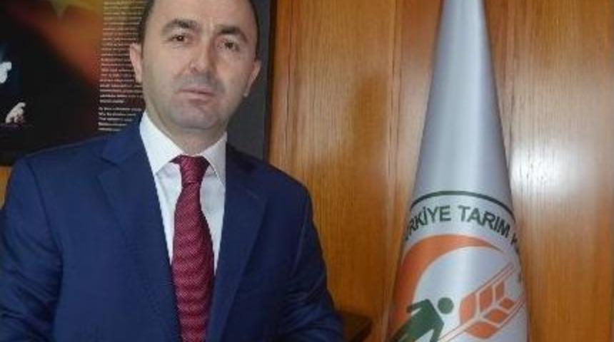 "dondan Zarar G&ouml;ren Fındıkta Hen&uuml;z Hasar Tespiti Yapılmadı"