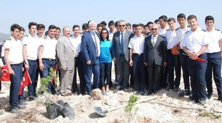 Silifke&rsquo;de Bulunan Mermer Ocaklarına 44 Bin Fidan Dikildi