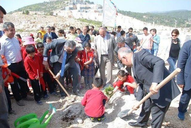 Silifke’de Bulunan Mermer Ocaklarına 44 Bin Fidan Dikildi