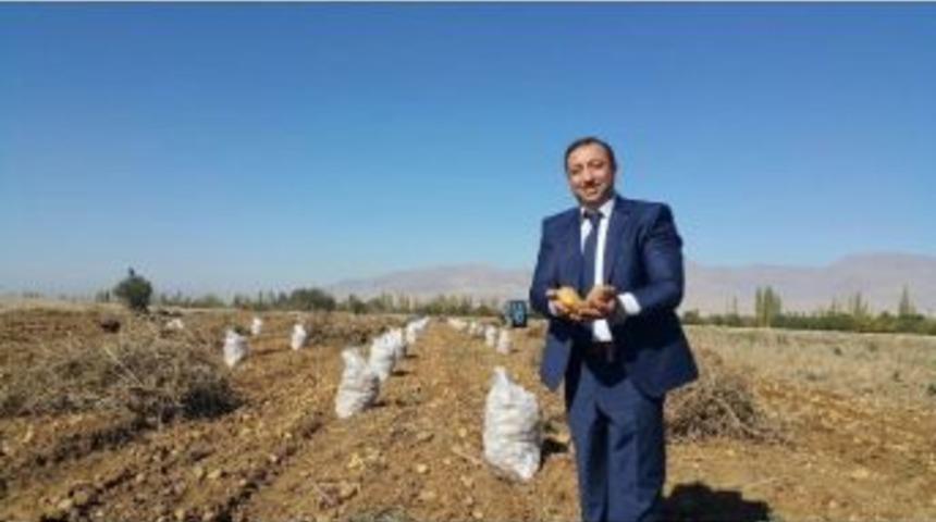 Patates Enstit&uuml;s&uuml;&rsquo;ne Staj Başvuruları Başladı