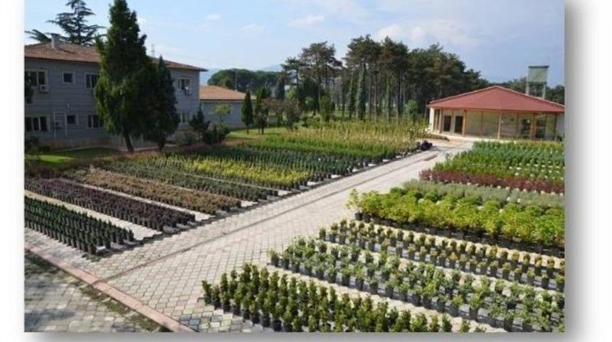 Ork&ouml;y Kapsamında 303 Aileye 1.21 Milyon Tl Kredi Desteği