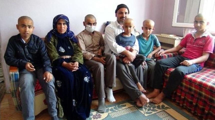 6 &Ccedil;ocuklu Ailenin 4 &Ccedil;ocuğunda Organ Yetmezliği Var