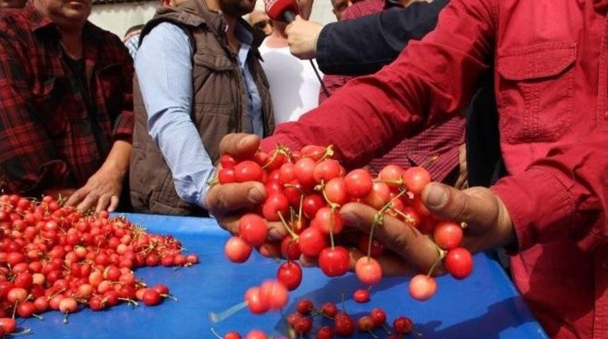 Kiraz Pazarında Proje Hazır