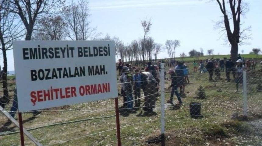 Şehitler Ormanı İ&ccedil;in Fidan Diktiler