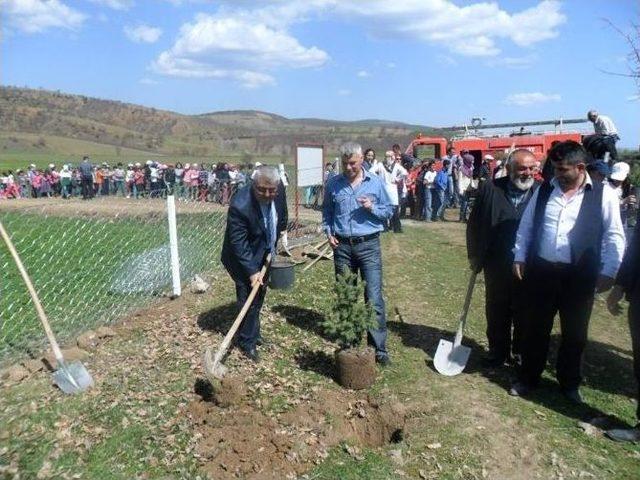 Şehitler Ormanı İçin Fidan Diktiler