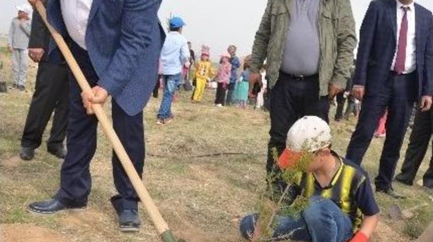 Ereğli&rsquo;de &Ouml;ğrenciler 2 Bin Fidanı Toprakla Buluşturdu