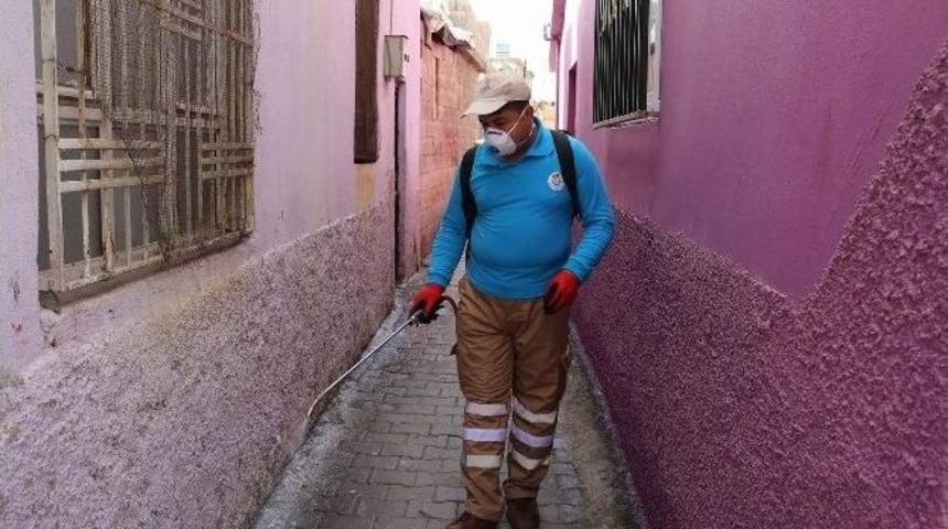 Haliliye&rsquo;de Haşere M&uuml;cadelesi