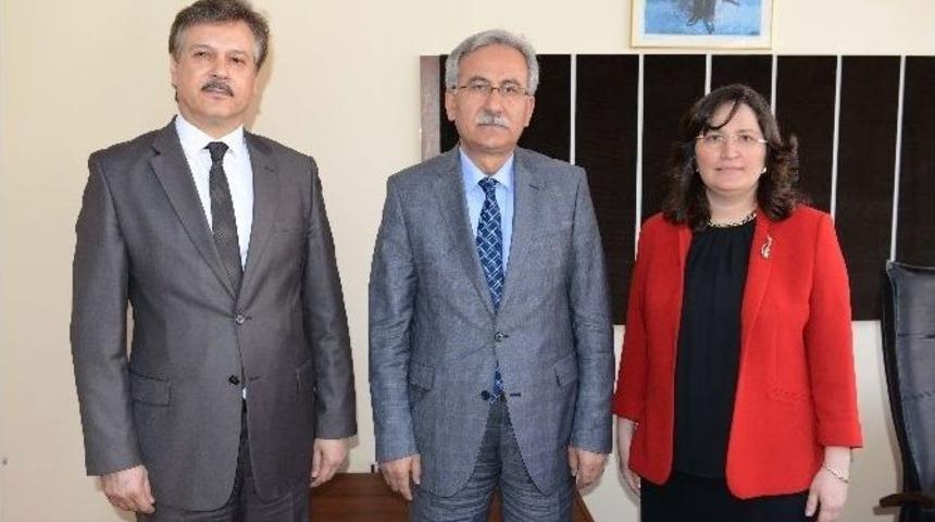 B&uuml; Myo M&uuml;d&uuml;rl&uuml;ğ&uuml;ne Do&ccedil;. Dr. Semra Sara&ccedil;oğlu &Ccedil;elik Atandı