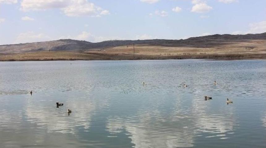 Hafik Gölü Turizme Kazandırılıyor