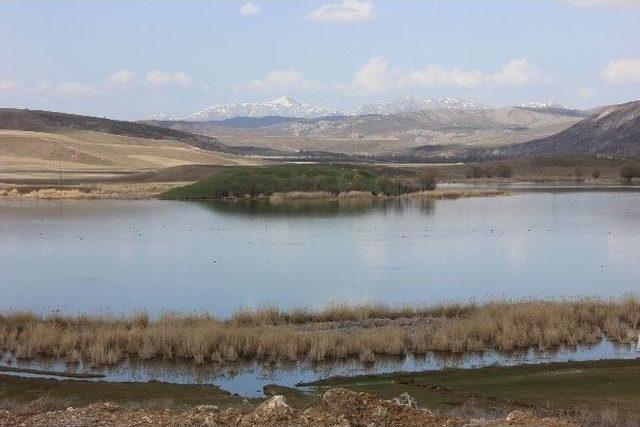 Hafik Gölü Turizme Kazandırılıyor