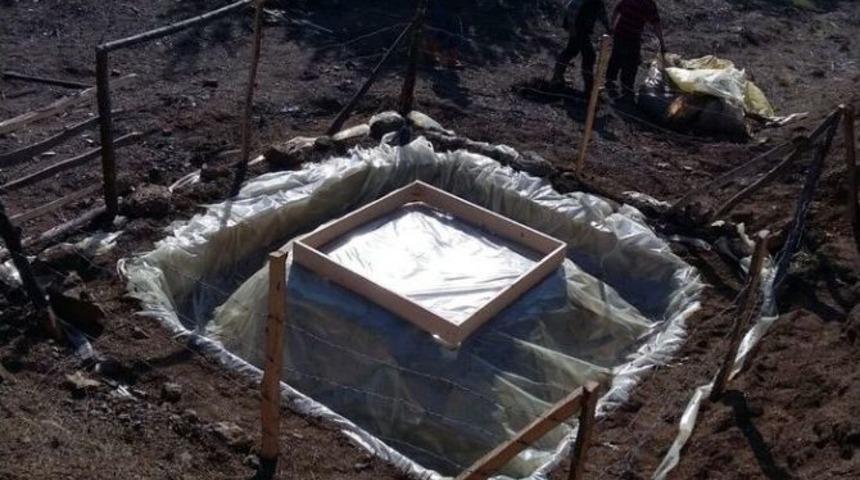 &Ccedil;am Kese B&ouml;ceği İle M&uuml;cadele