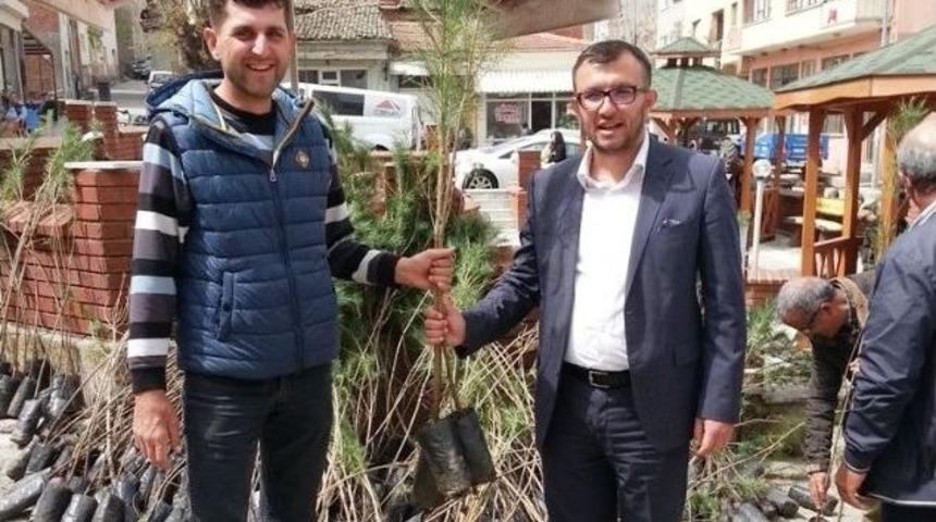 Umurbey&rsquo;de Bin Adet Fidan Dağıtıldı
