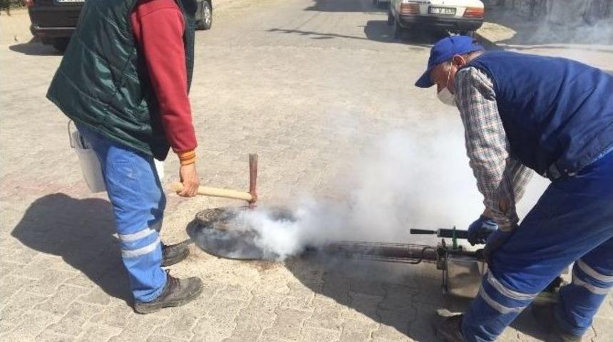 Bahar Geldi İla&ccedil;lama &Ccedil;alışmaları Hızlandı