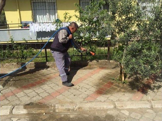 Bahar Geldi İlaçlama Çalışmaları Hızlandı