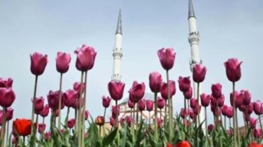 Pursaklar &Ccedil;i&ccedil;ek A&ccedil;tı