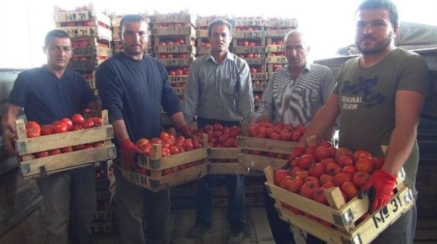 Mersin&rsquo;den Irak&rsquo;a Domates İhracatı Başladı