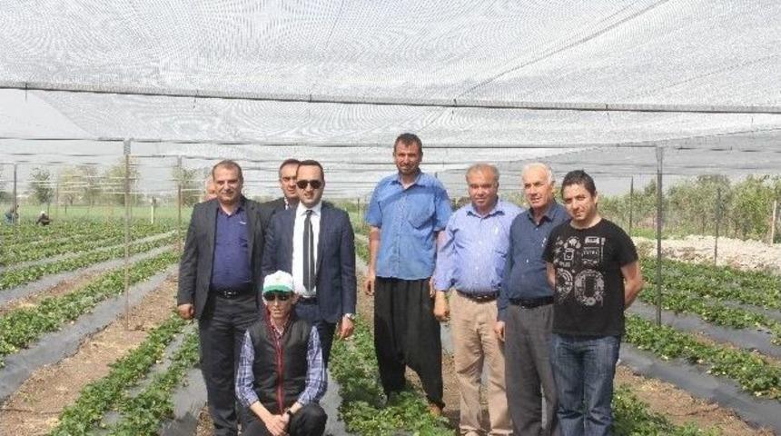 D&uuml;zi&ccedil;i&rsquo;nde &Ccedil;ilek Yetiştiriciliği Kursu