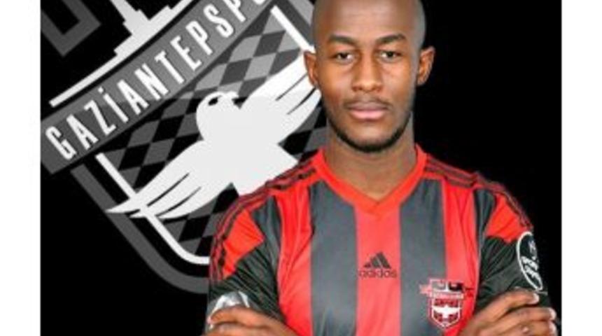 G&ouml;n&uuml;llerde Taht Kurdu