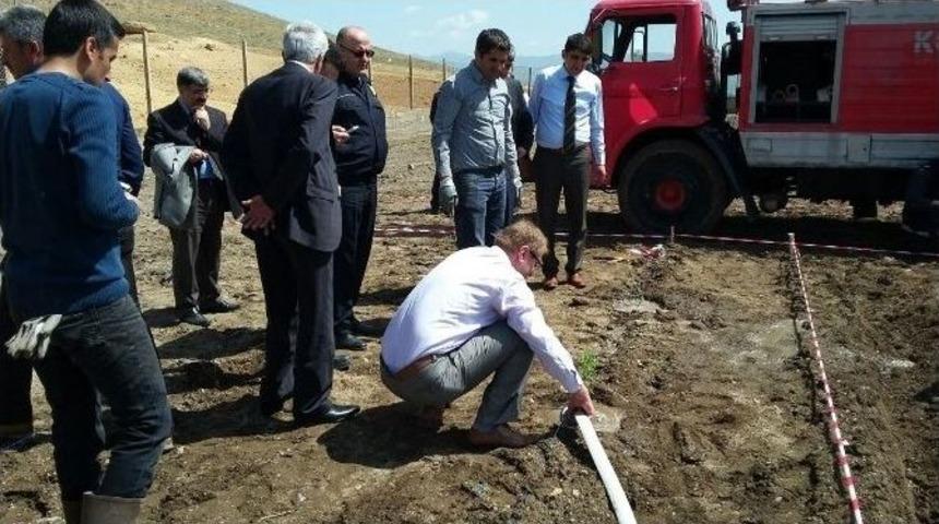 Kovancılar&rsquo;da İtri Ve Aromatik Bitkiler Dikildi