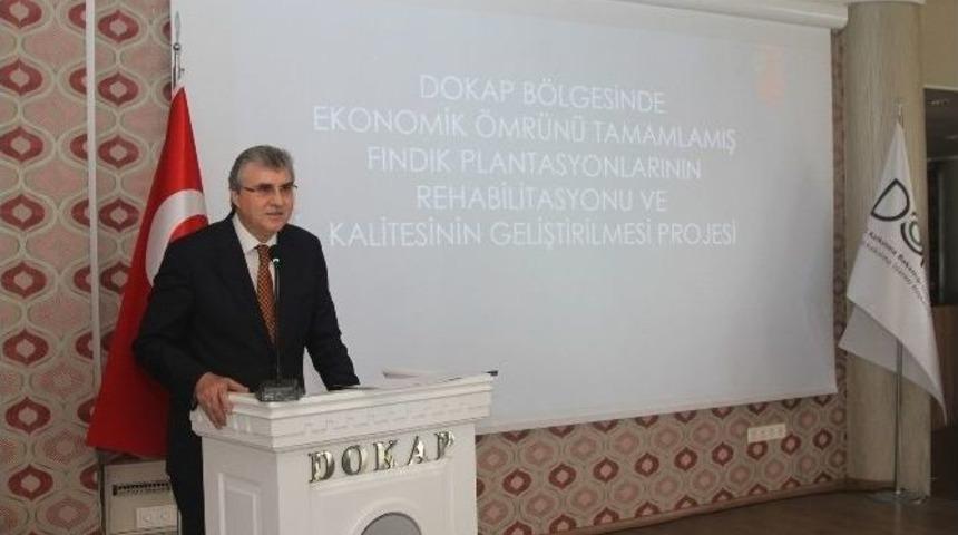 Dokap&rsquo;tan &Ouml;mr&uuml;n&uuml; Tamamlamış Fındık Bah&ccedil;elerine &Ccedil;&ouml;z&uuml;m Projesi