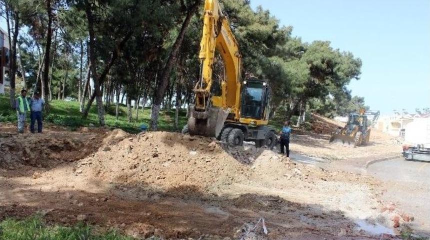 Didim&rsquo;de &Ccedil;amlık B&ouml;lgesinde Yeni &Ccedil;alışma Başlatıldı.