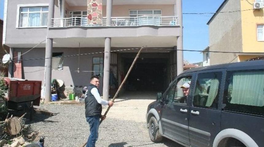 Beton Mikserinin Yıktığı Telefon Direği 6 Aydır Kaldırılmadı