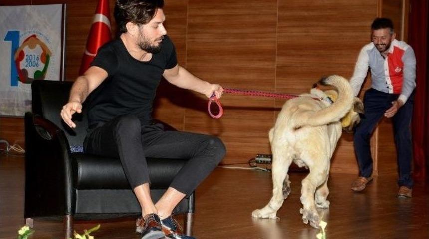 Anadolu Aslanı, Hayrettin&rsquo;i Sahneden &Ccedil;ekti