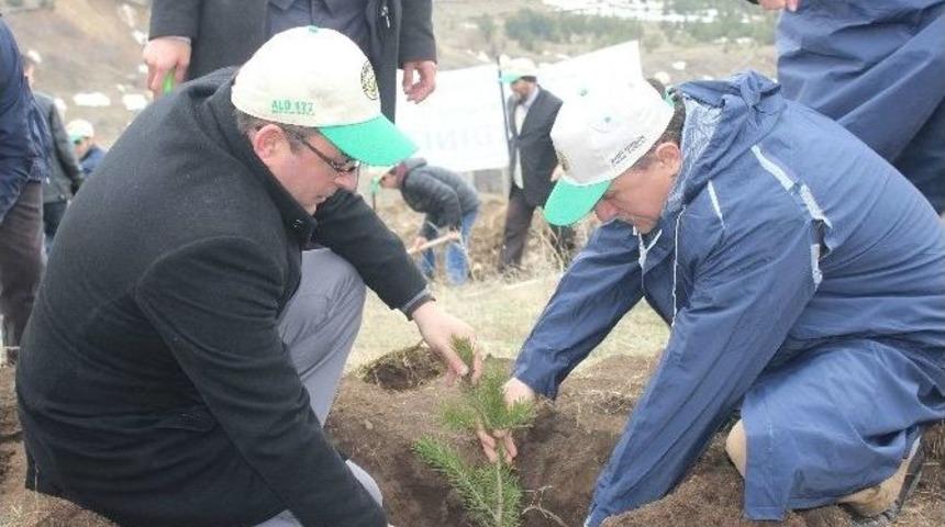 Agd&rsquo;den Her Şehide Bir Fidan