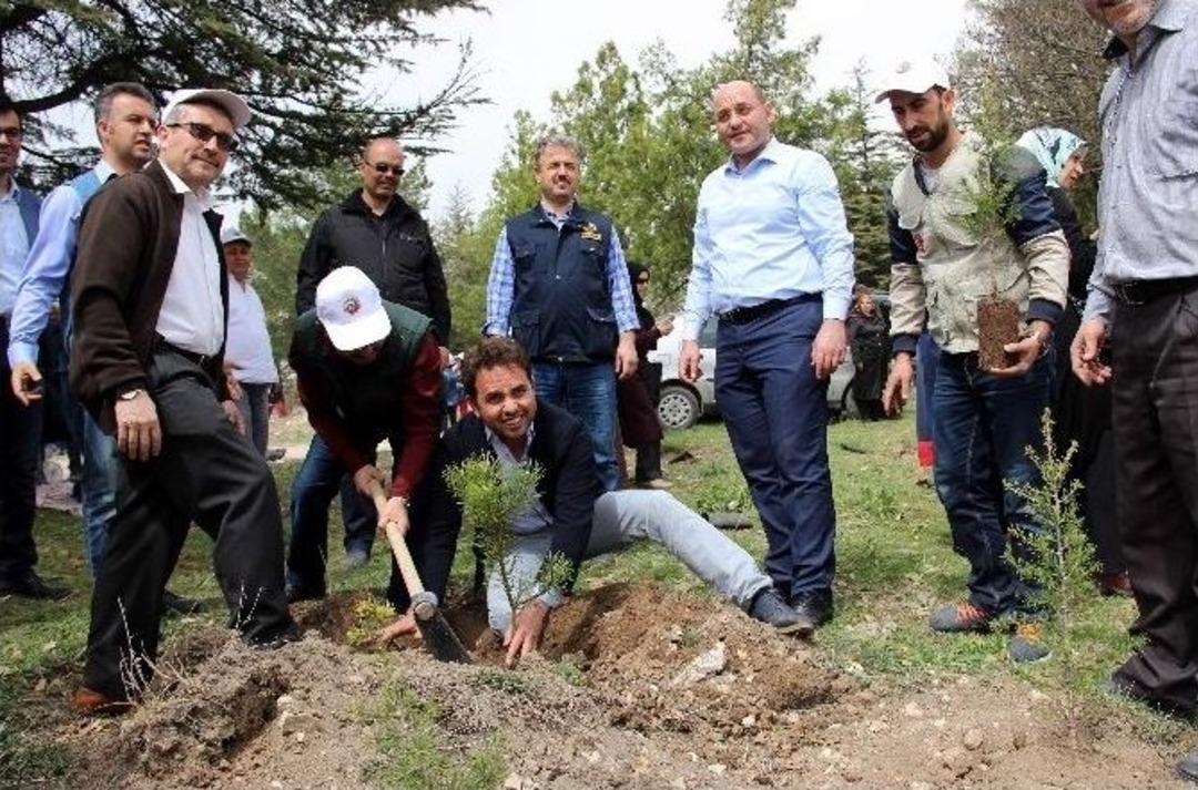 K&uuml;tahya&rsquo;da &rsquo;yetim Kardeş Hatıra Ormanı&rsquo; Oluşturuldu