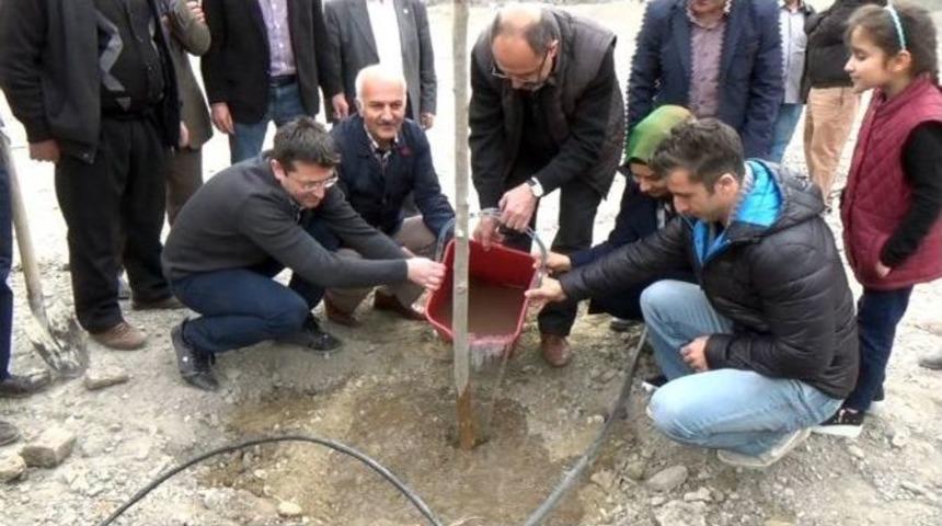 Dap B&ouml;lge Kalkınma İdaresi Başkanlığı&rsquo;ndan Meyveciliği Geliştirme Projesi