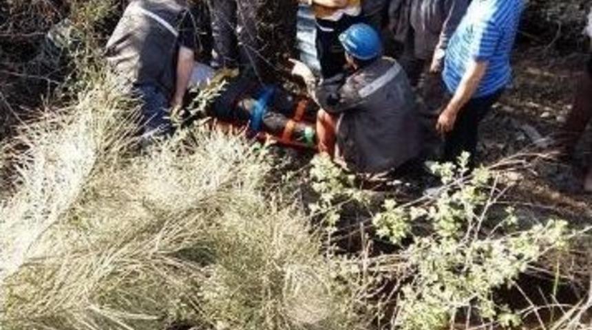 U&ccedil;uruma Yuvarlandı, Kamyondan Sağ &Ccedil;ıktı