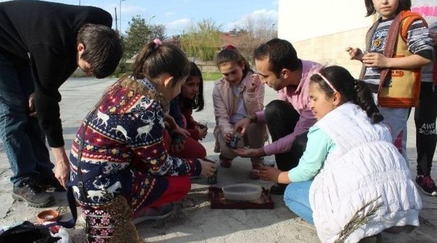 Atık Şişelerden Saksı Yapıp Tohum Ektiler