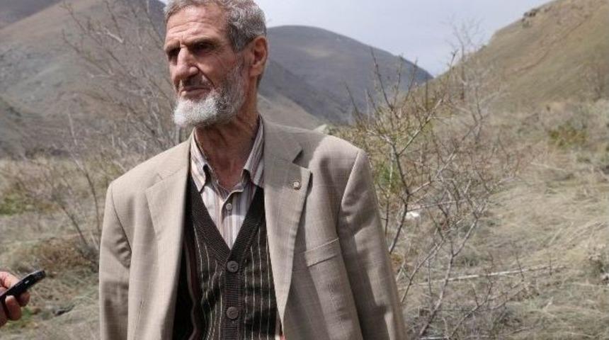 İlim Yayma Cemiyetinden Fidan Dikim Etkinliği