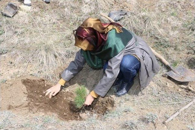 İlim Yayma Cemiyetinden Fidan Dikim Etkinliği