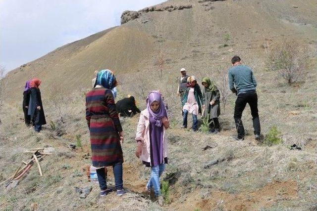 İlim Yayma Cemiyetinden Fidan Dikim Etkinliği