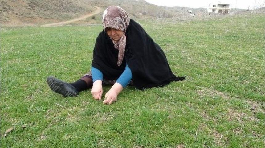 Yozgat&rsquo;ta Madımak Tezgahtaki Yerini Aldı