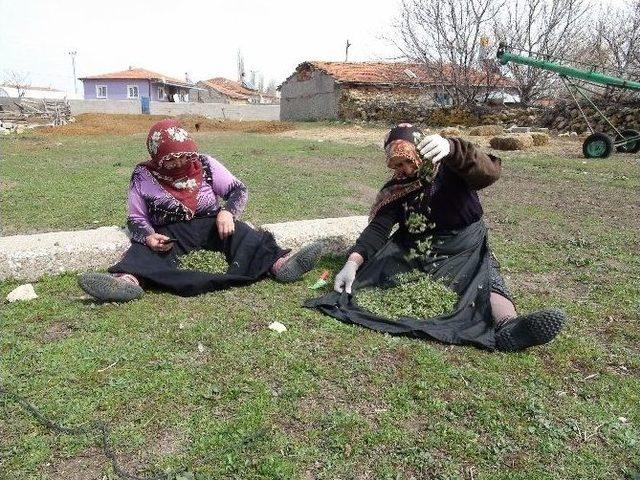 Yozgat’ta Madımak Tezgahtaki Yerini Aldı