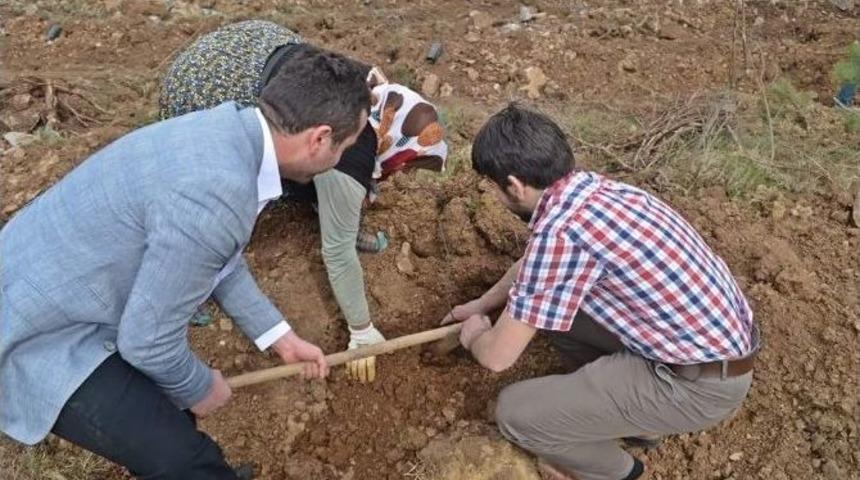 Ak Parti İl Gen&ccedil;lik Kolları, Fidan Dikti