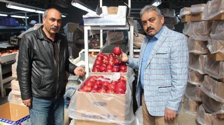 50 Bin Ton Elma Depoda Kaldı