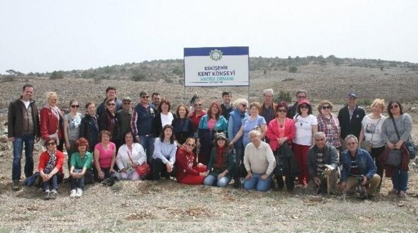 2 Bin Sedir Fidanı Toprakla Buluştu