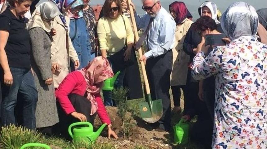 Ak Partili Kadınlardan Hatıra Ormanı