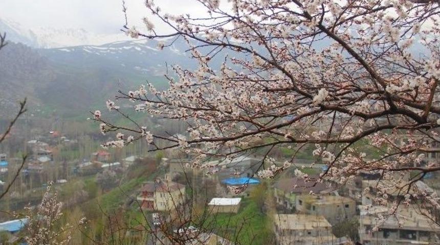 Karlar Eriyince G&uuml;zellikler Ortaya &Ccedil;ıktı