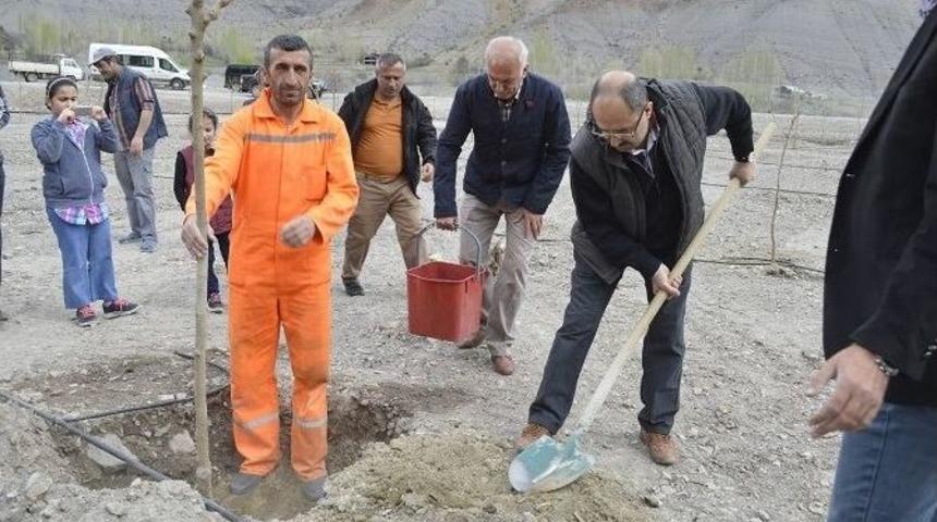 Dap İdaresi&rsquo;nden, Uzundere&rsquo;ye &ldquo;kapama Dut Bah&ccedil;esi&rdquo; Ve &ldquo;eğitim Serası&rdquo; Desteği